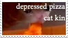 Depressed pizza cat